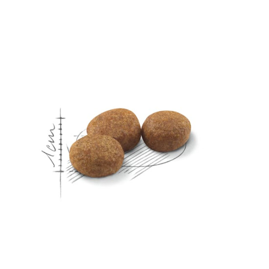 Royal Canin Sterilised 37 – Hrană Uscată pentru Pisici Adulte Sterilizate – 10 kg